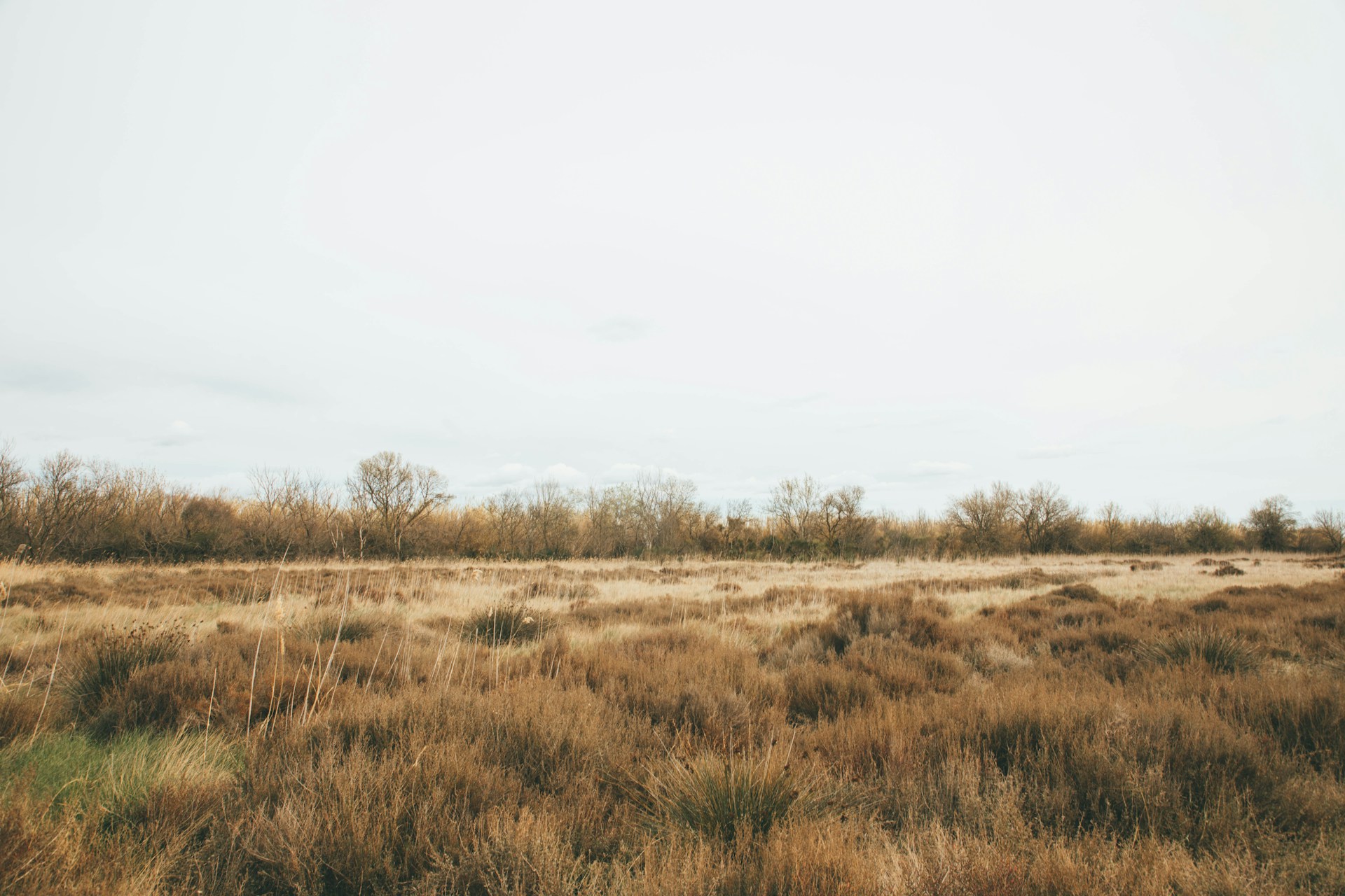 anthony-delanoix-n39kQwRZ85Y-unsplash