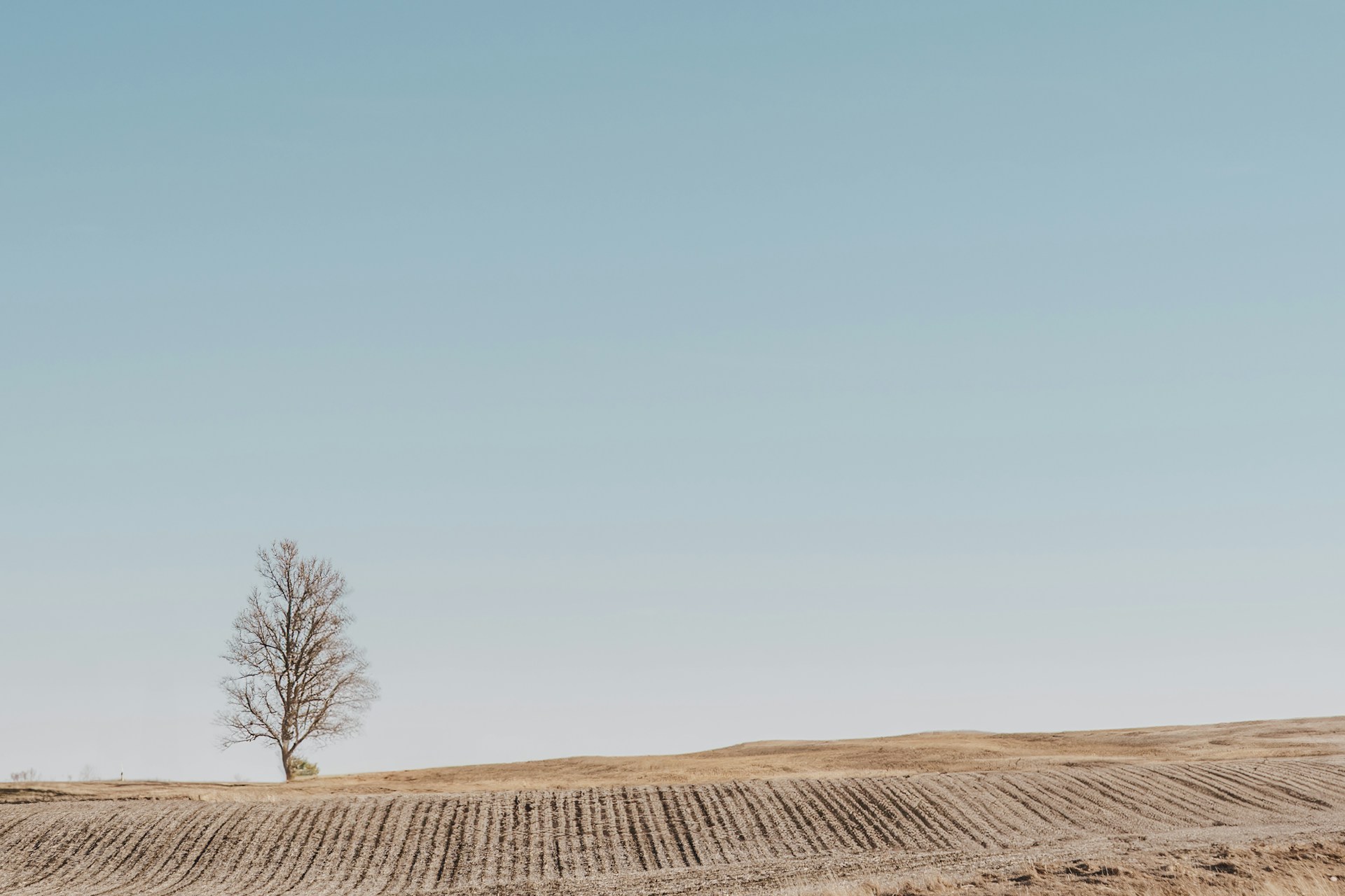 josue-michel-5lEtAJT-Gz0-unsplash